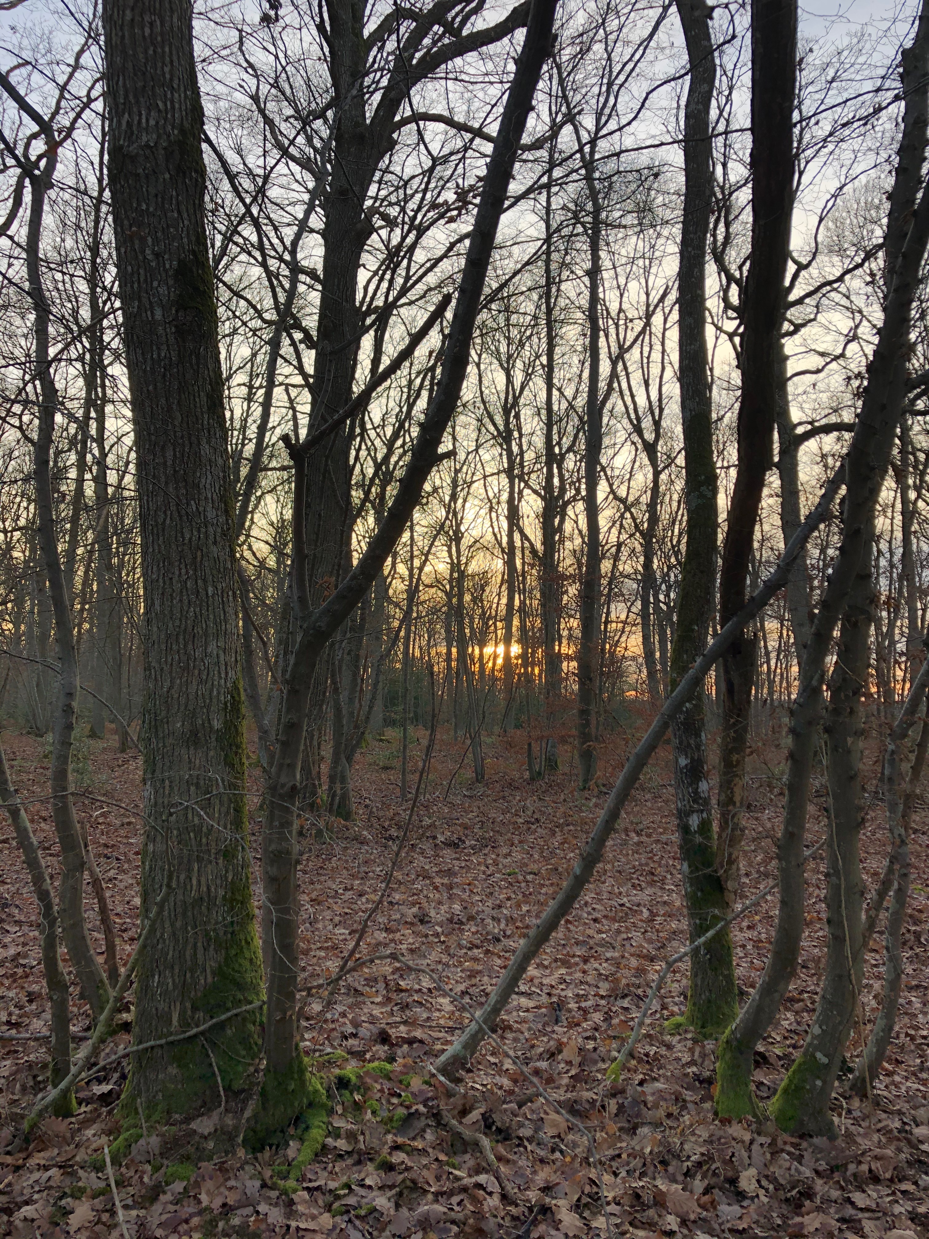 1ère sélection du Journal Quinzaines