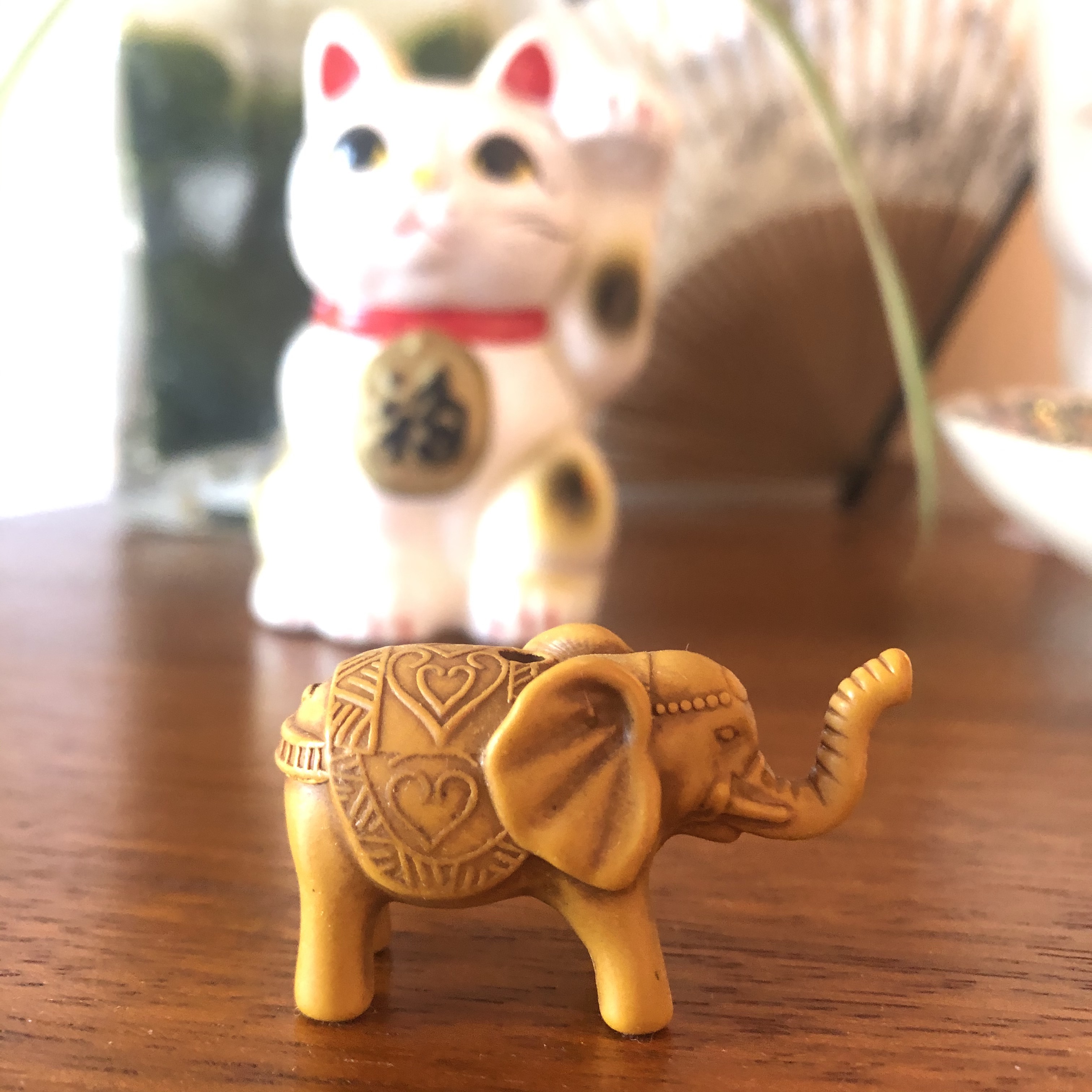 L'éléphant ne s'évapore pas!