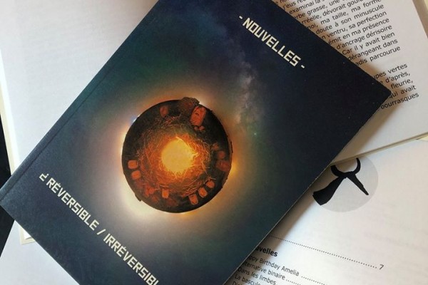 La Venelle – Recueil Réversible / Irréversible – BienVenus Sur Mars