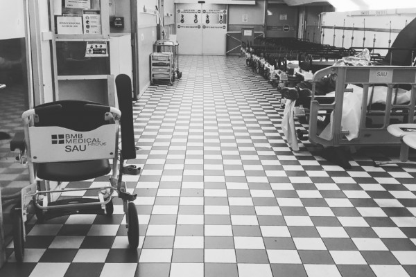 Opération élagage réussie